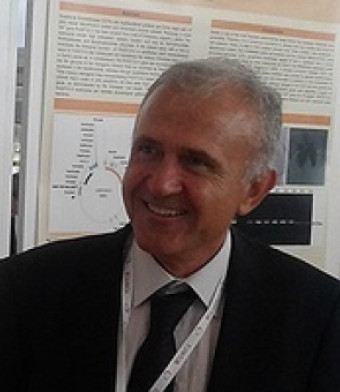 Ioannis S. TOKATLIDIS